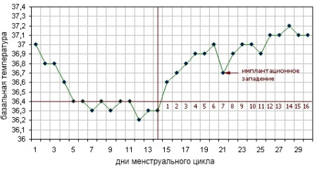 График изменения базальной температуры при беременности